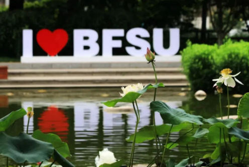 2025北京外国语大学IEP国际本科招生简章