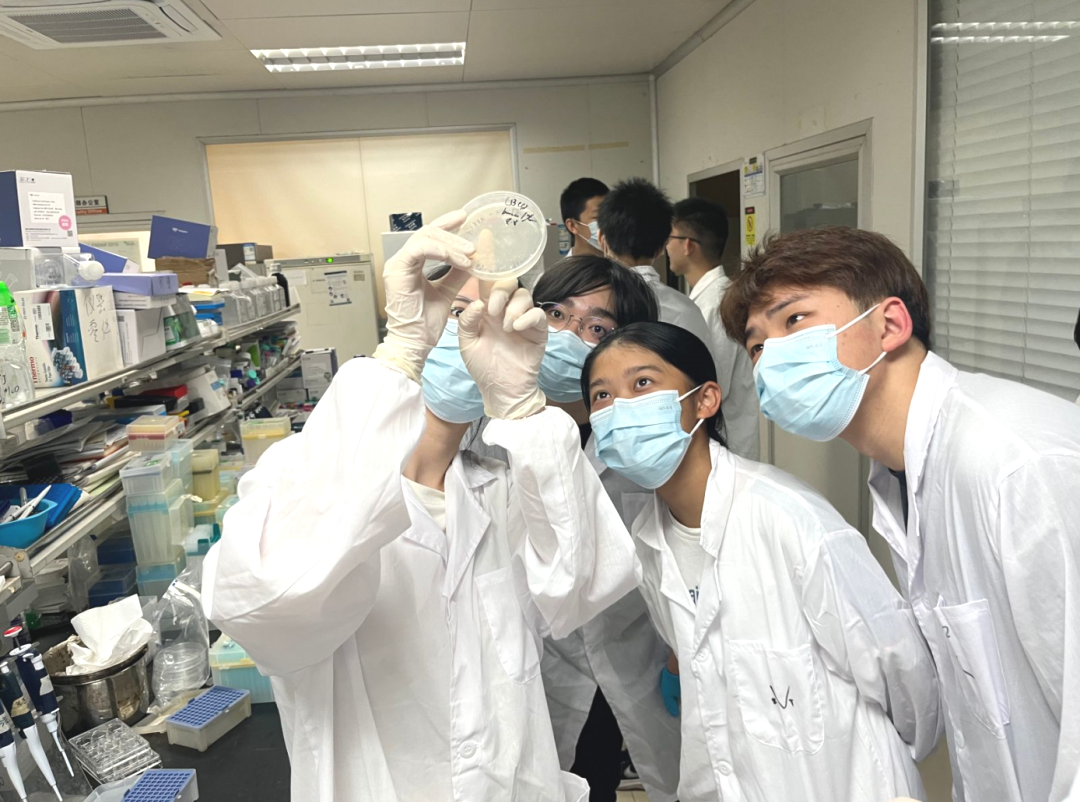 申英生必看——7-12年级科学党：没有竞赛奖项？一文带你解锁英国官方科研履历！