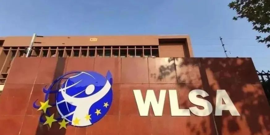 5月25日！WLSA上海学校2025秋招考试启动！最新考试大纲、考情分析来了！
