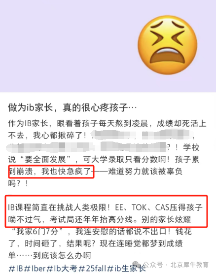 IG阶段如何给IB打基础？内附IB教材，还有暑期王牌IB辅导课程，速来！