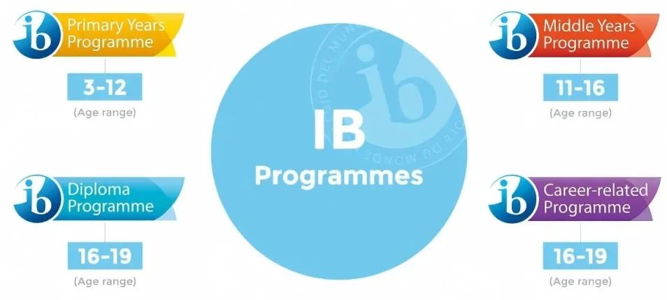 IB课程到底学什么？被“公认最难”的IB课程适合哪些孩子？