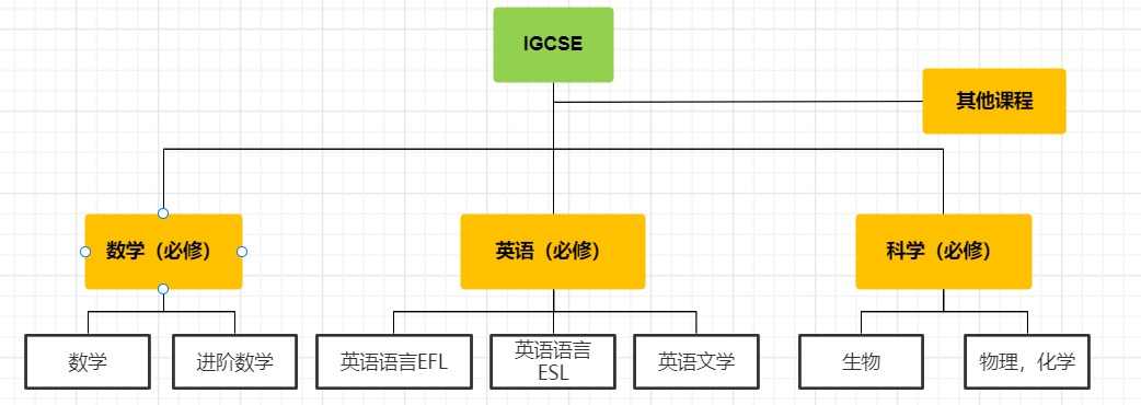 黄金衔接课IGCSE课程一文详解！附：IGCSE课程词汇表分享