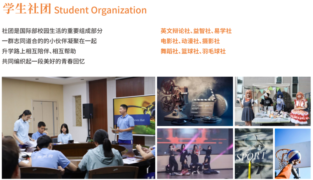 课程简章｜A-level国际课程，助力学子开启全球TOP100名校大门