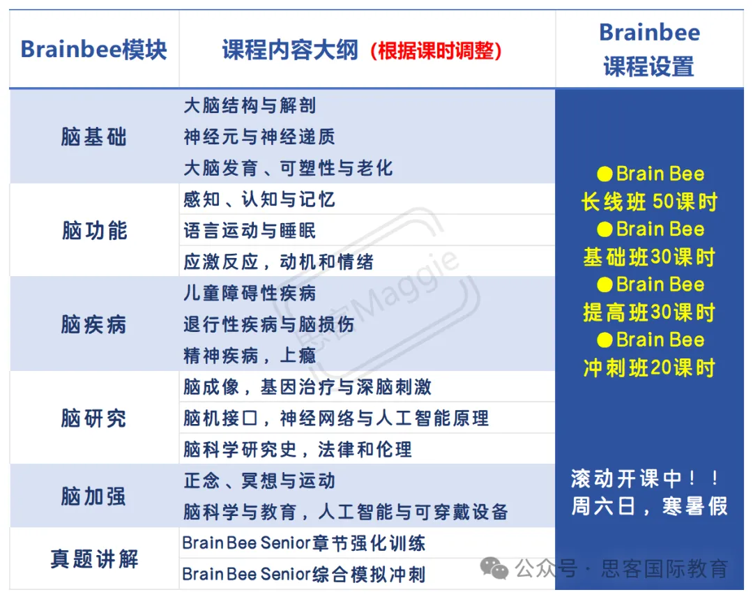 解锁Brainbee脑科学大赛：哪些学生能参与？含金量怎样？题型有哪些？