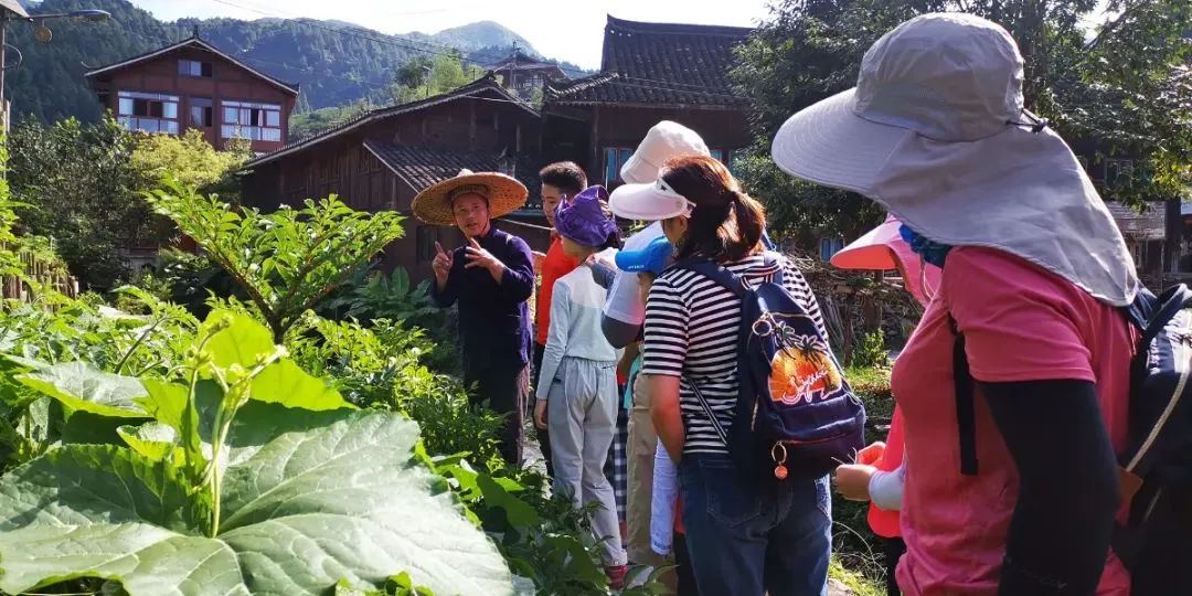 孩子暑期去哪儿“充电”？超值惊艳户外营地全推荐（南方篇）