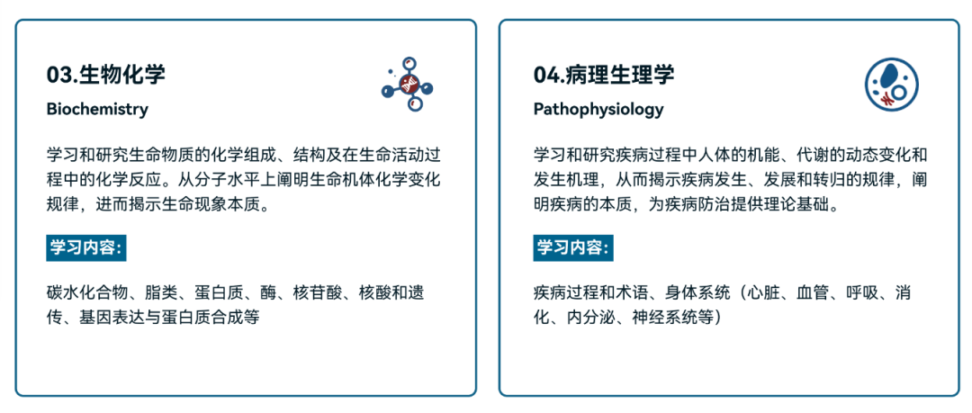 iHOSA生物与健康挑战2025备赛指南！一文详解~