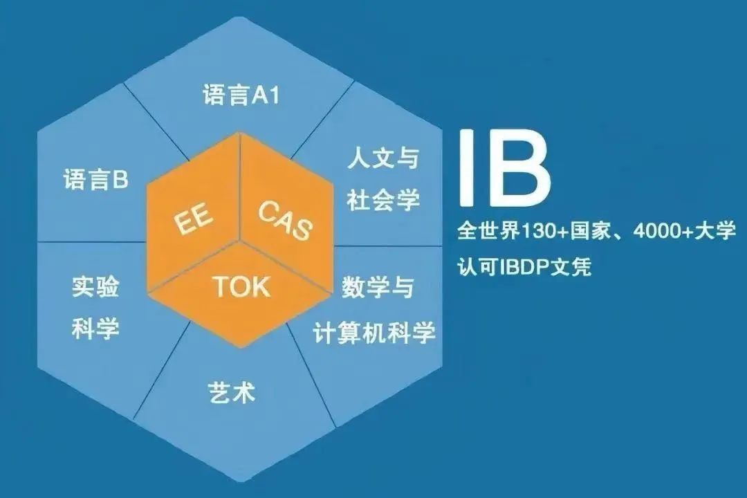 深圳国际学校家长收藏！AP/IB/A-Level/DSE深度解析：学科难度、评分体系、名校录取偏好全对比！