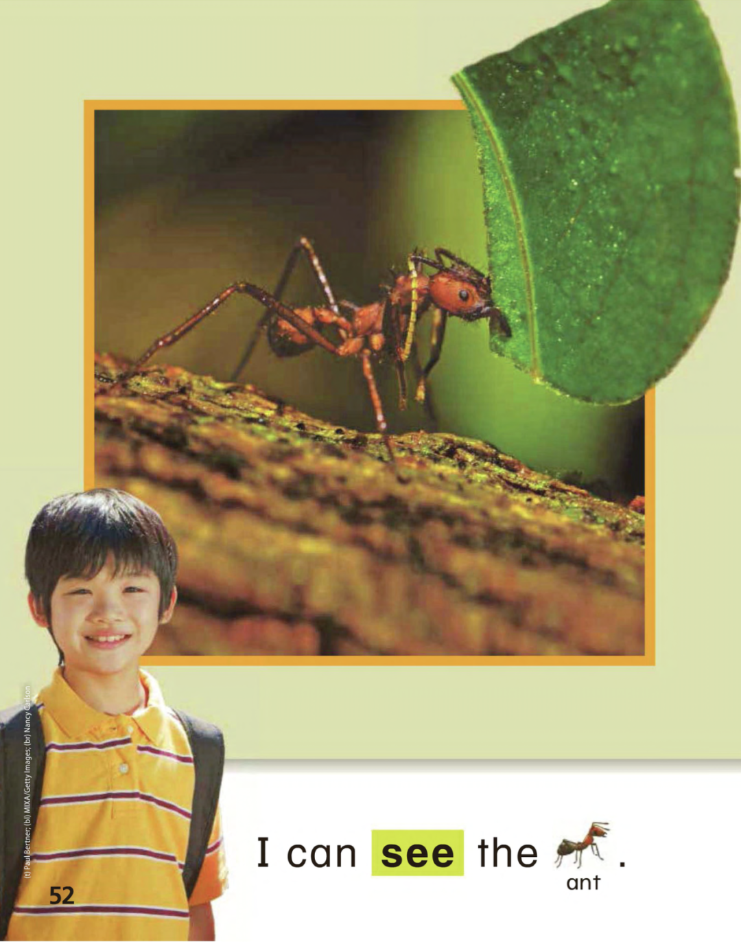 教材介绍｜美国主流小学广泛使用的英语语言艺术教材Wonders系列