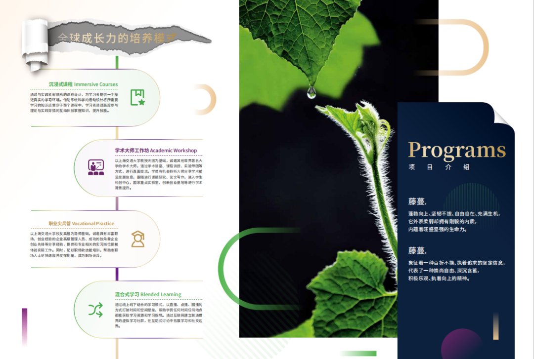 国际本科 | 2025年上海交通大学BTEC3+1+1红藤计划中外合作办学招生简章