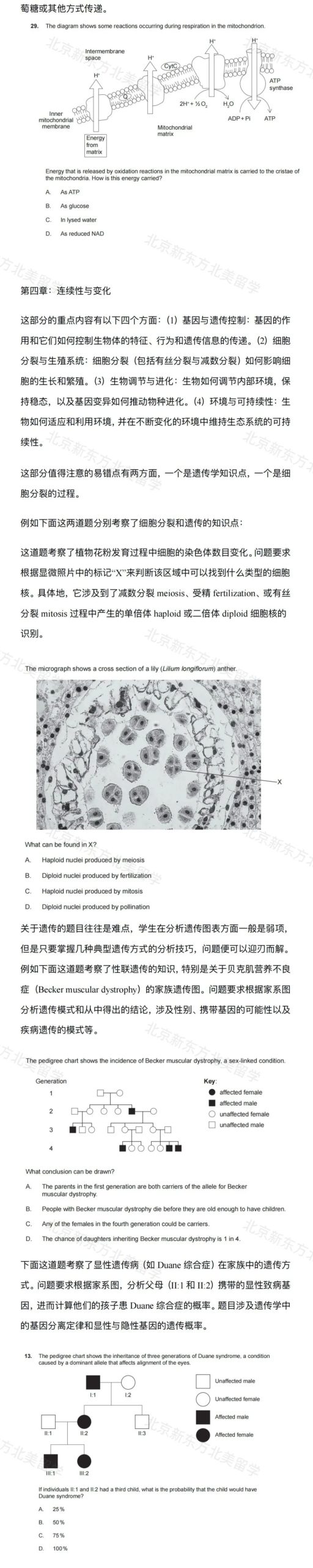 IB生物干货知识分享：考前看完这篇心中有底
