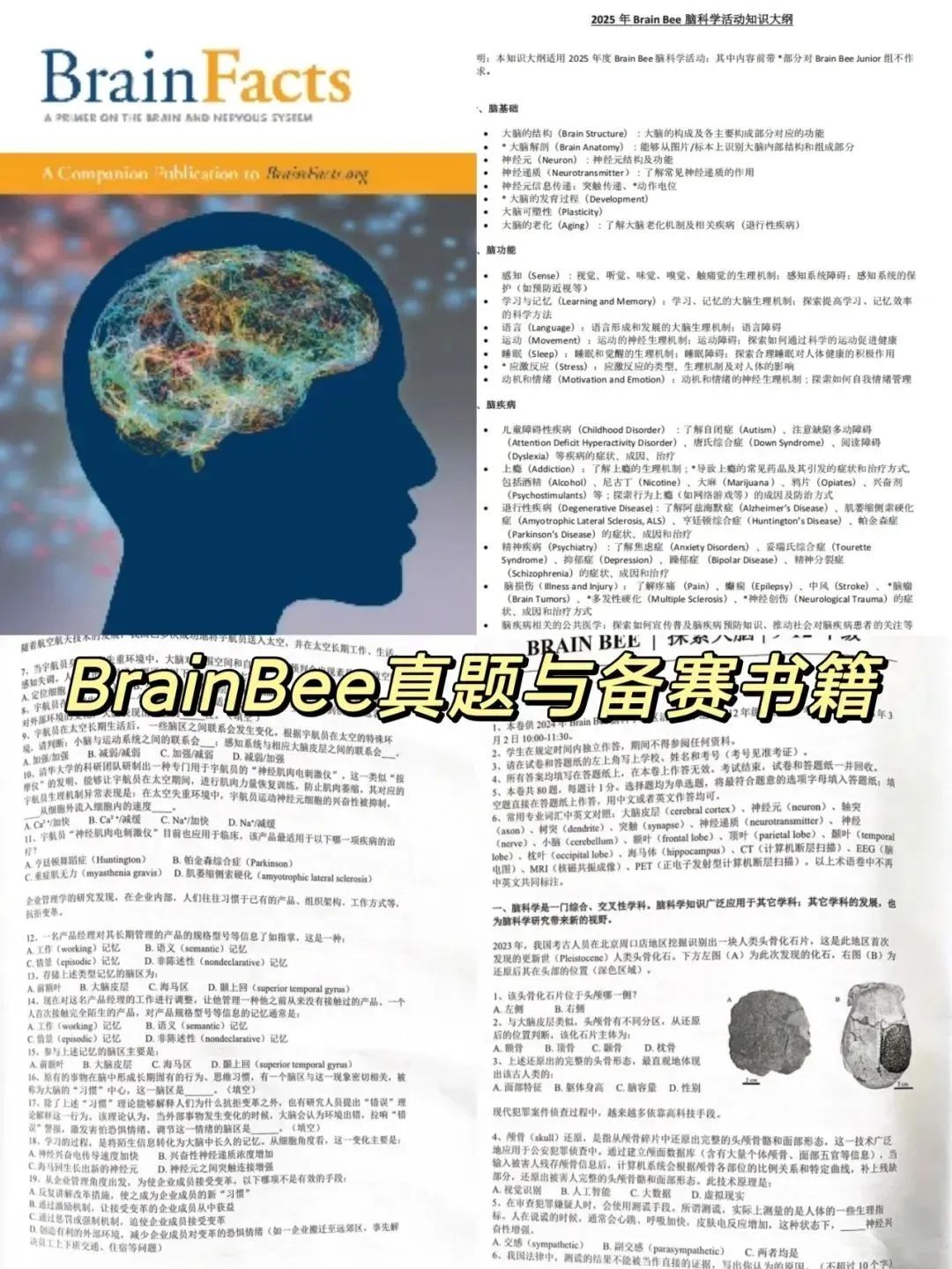BrainBee脑科学大赛科普！含金量/考试地点/适合学生/考核环节/备考真题
