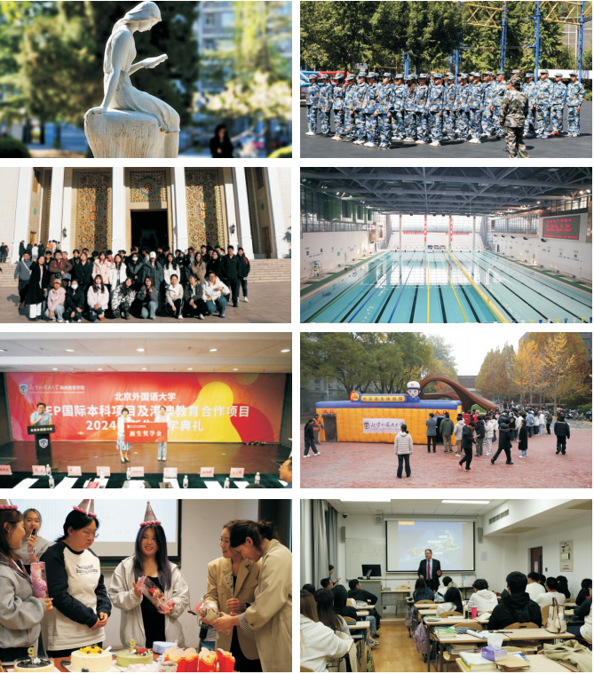 2025北京外国语大学IEP国际本科招生简章