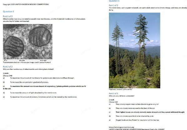 国际生物竞赛双顶流USABO VS BBO，哪个更适合你？机构暑期国际生物竞赛课程火热组班中，助力孩子轻松冲金！