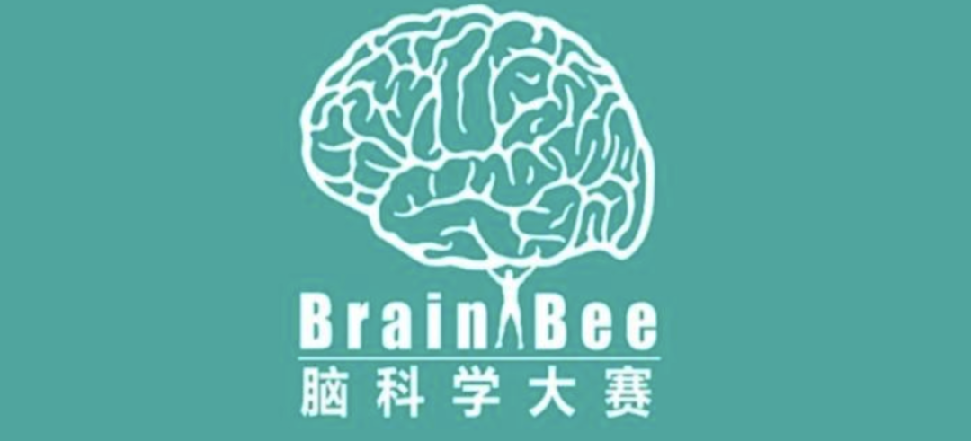 USABO/BBO/BrainBee三大顶流生物竞赛如何选？含金量/考试题型/目标方向全方位对比