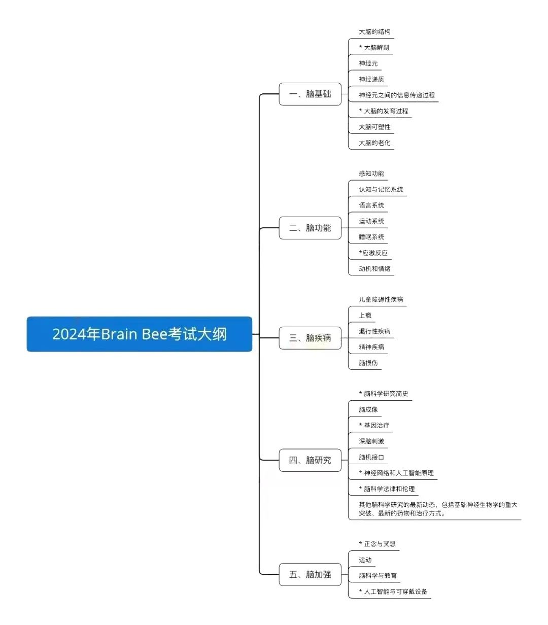 BrainBee保姆级备考指南！从零基础到晋升，考察内容/比赛赛制/报名方式一文了解~