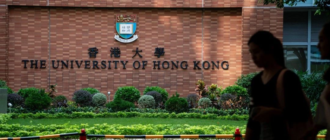 卷出新高度！港前三AI专业成DSE“爆款” 多少分才能稳拿offer？