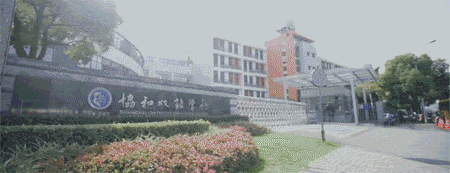 普娃怎么选国际高中？上海IB、AP、A-Level二梯队学校盘点！哪些学校才是真正“性价比之最”？戳↓