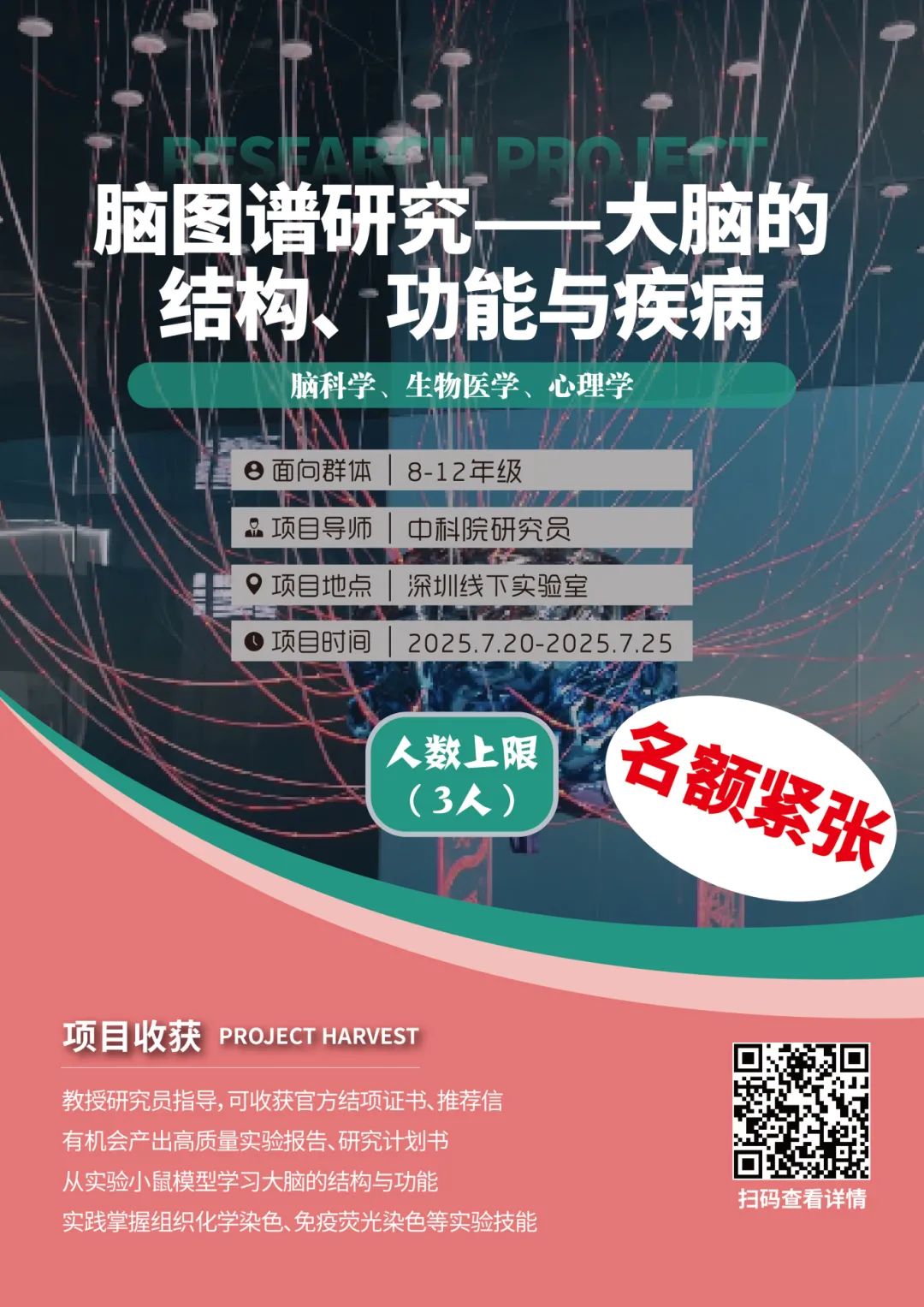项目合集 | 多个项目已满员！2025暑期“深圳实地科研项目”合集！