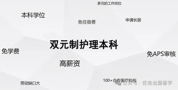 2025年电子科技大学德国双元制护理本科留学项目招生简章