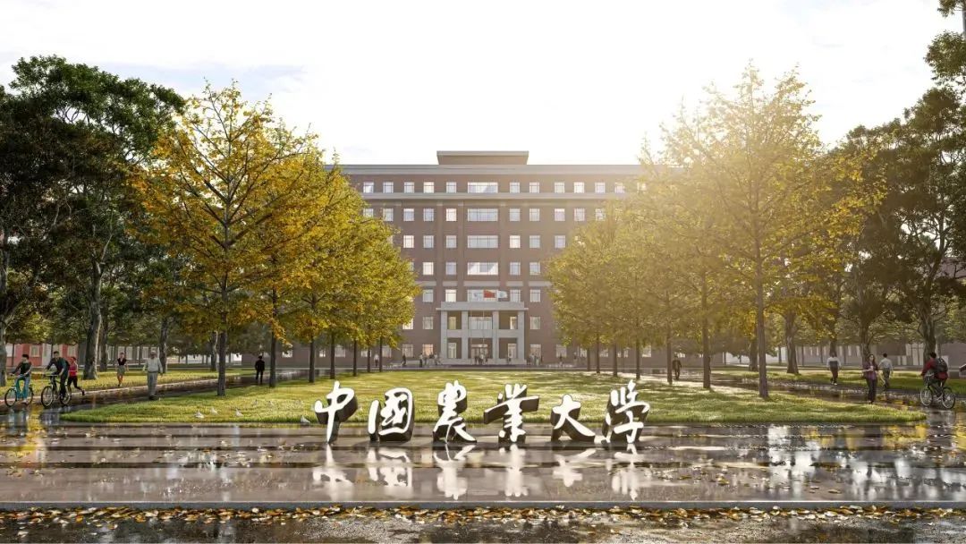 2025高考升学-国际本科4+0（计划外）项目学校汇总