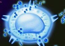 生物学课题 | 肠道细菌真能“操控”情绪和疼痛感？科学家用斑马鱼实验揭秘“肠-脑轴”新机制！