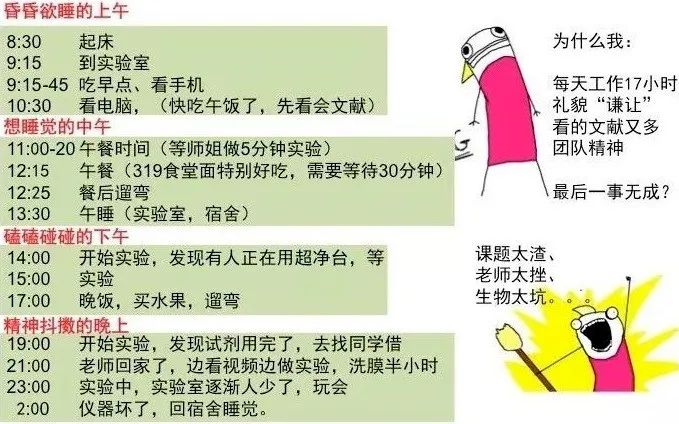 博士一名，SCI 论文 10 篇以上，大论文盲审被毙，为什么这样的事都能被我赶上？