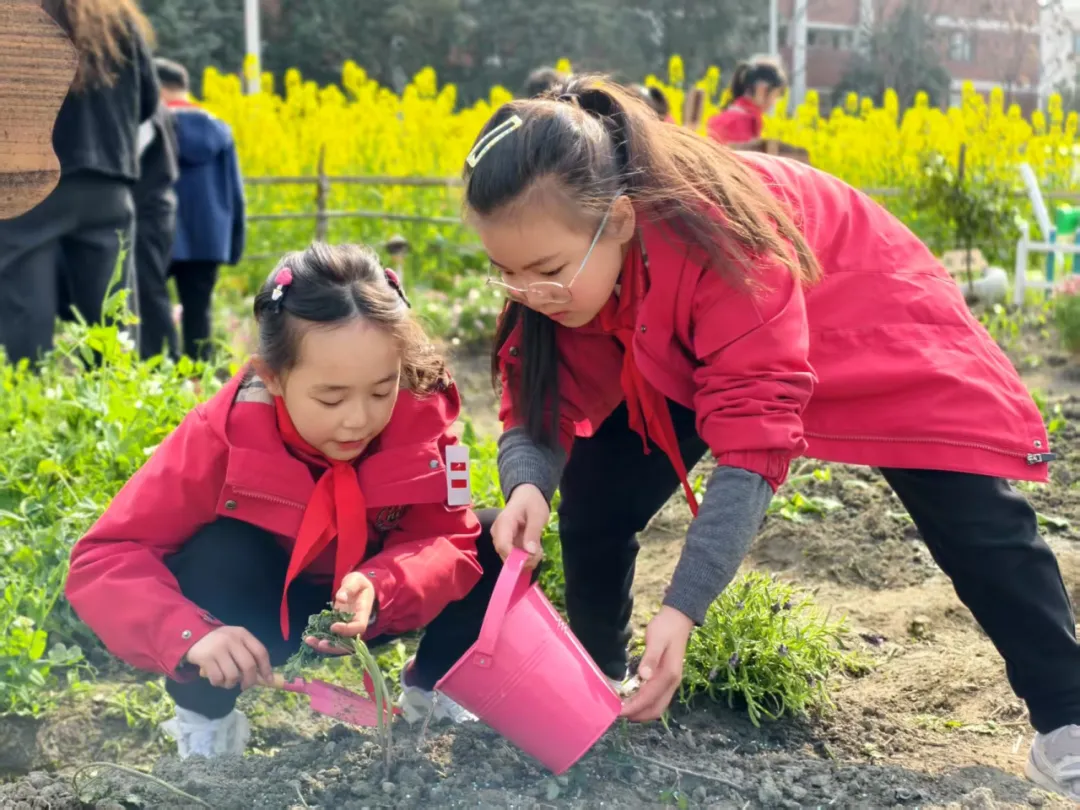 招生信息|彭州市嘉祥外国语学校2025年一年级、七年级招生简章