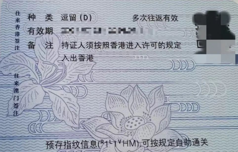 香港留学签证全流程：港澳通行证/e-Visa/D签/小白条！超全拆解！