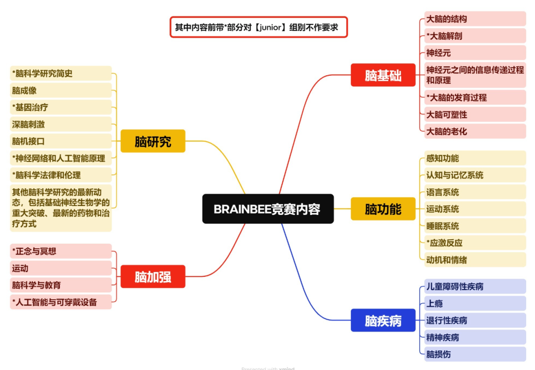 Brainbee脑科学大赛是什么？一文梳理