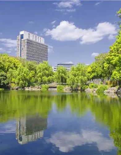 2025西南大学新加坡国际本科项目招生简章