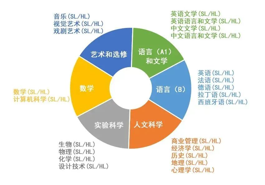 IB课程如何选课？如何详细备考规划？IB课程助力冲刺拿下7分！