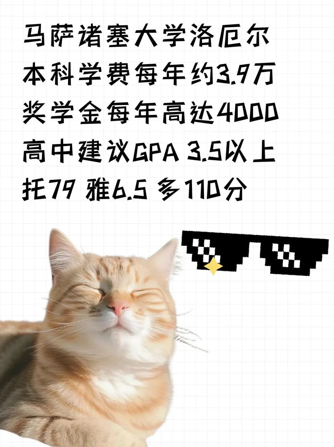 留学美国新英格兰地区给奖学金的大学