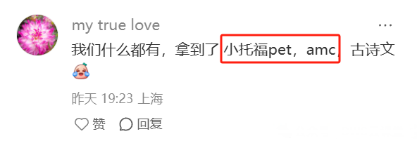 25年上海三公学校录取率创新低！如何备考规划才能拿到三公面单呢？5年级前一定要搞定这3件事