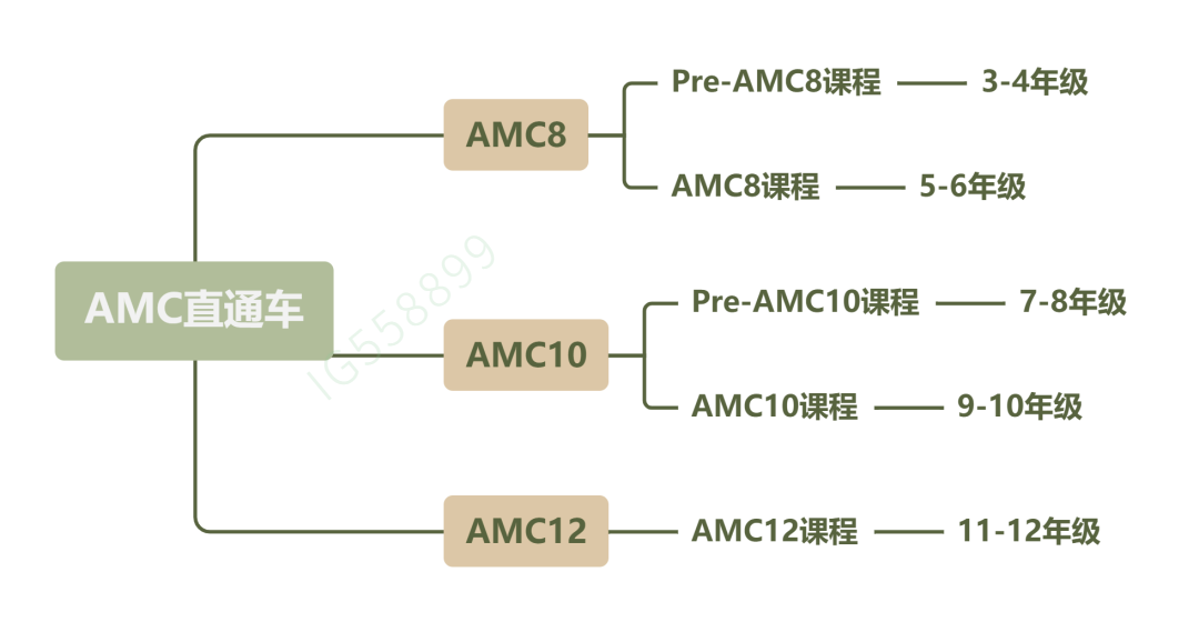 *AMC8/10/12暑假班课程，3-11年级皆有适配班型！