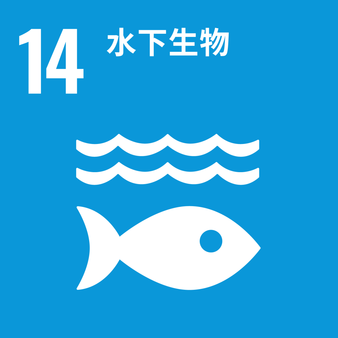 2025THE世界大学影响力排名揭晓！曼大英区第一，世界第二！凭什么？