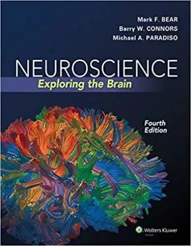 为什么顶尖大学都在关注这个脑科学竞赛？2025 Brain Challenge 赛季前瞻！
