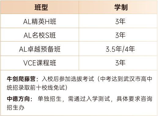 2025年武汉国际学校最新信息汇总（持续更新）