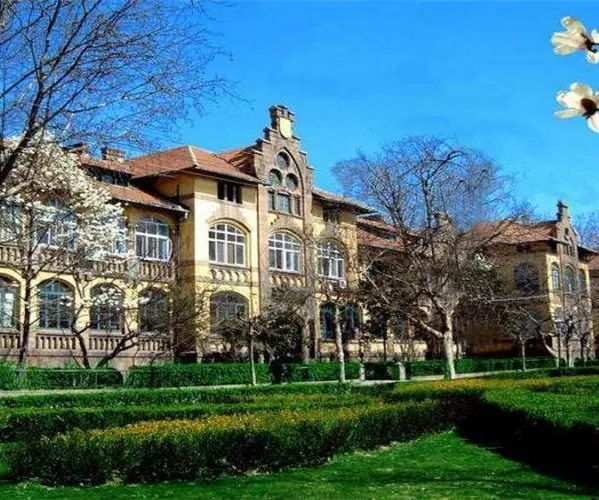 2025中国海洋大学1+3国际预科项目