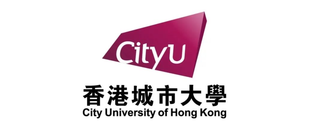 香港城市大学PhD博士招生中！（导师Prof. QI）