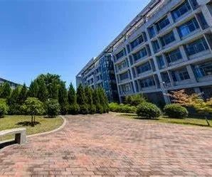 2025西安外国语大学SQA3+1国际本科项目