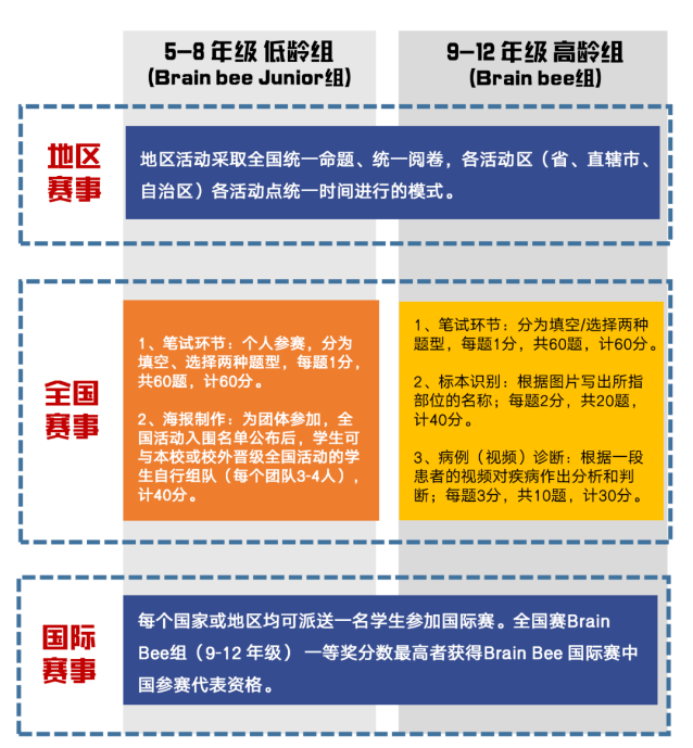 BrainBee竞赛考察哪些知识点？适合几年级学生参加？（附BrainBee竞赛直通车课程）