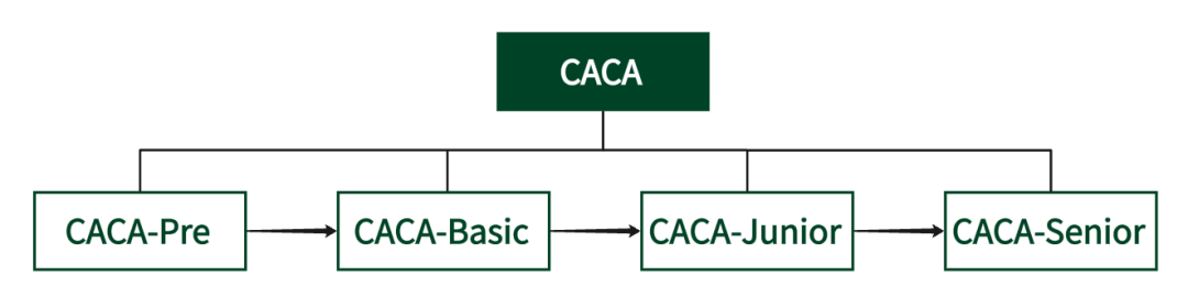 2025-2026学年CACA(综合学术能力评估)考试安排！