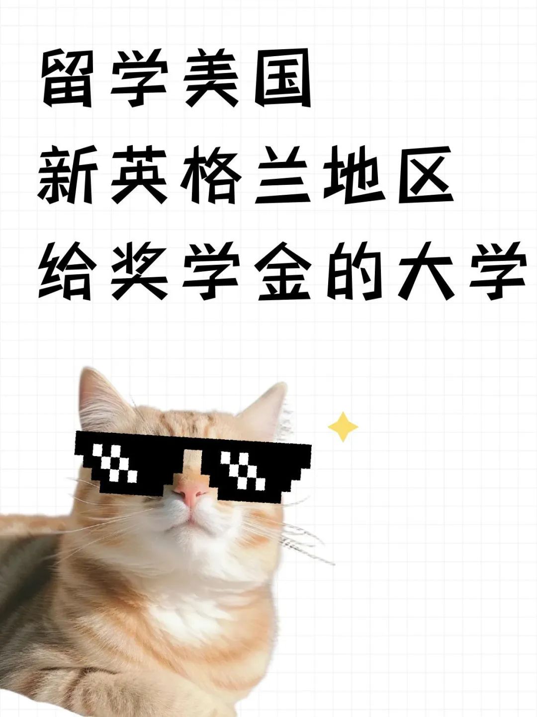 留学美国新英格兰地区给奖学金的大学