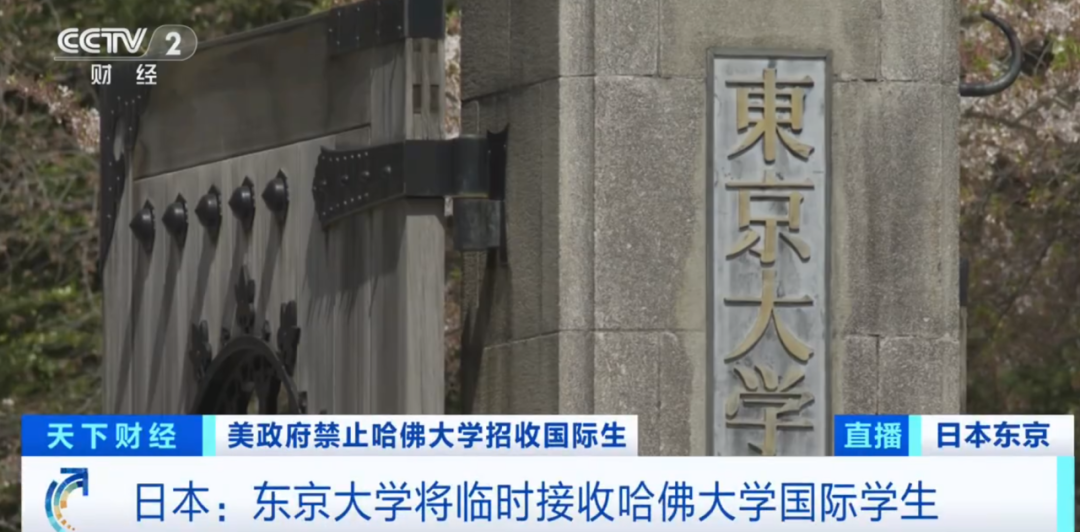 多国高校为留美受阻国际生启动补录通道！留学应如何布局“双保险”？