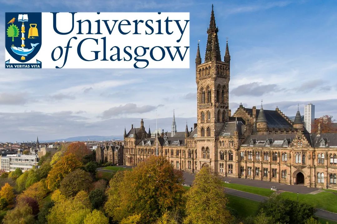 2025山东大学英国名校精品班