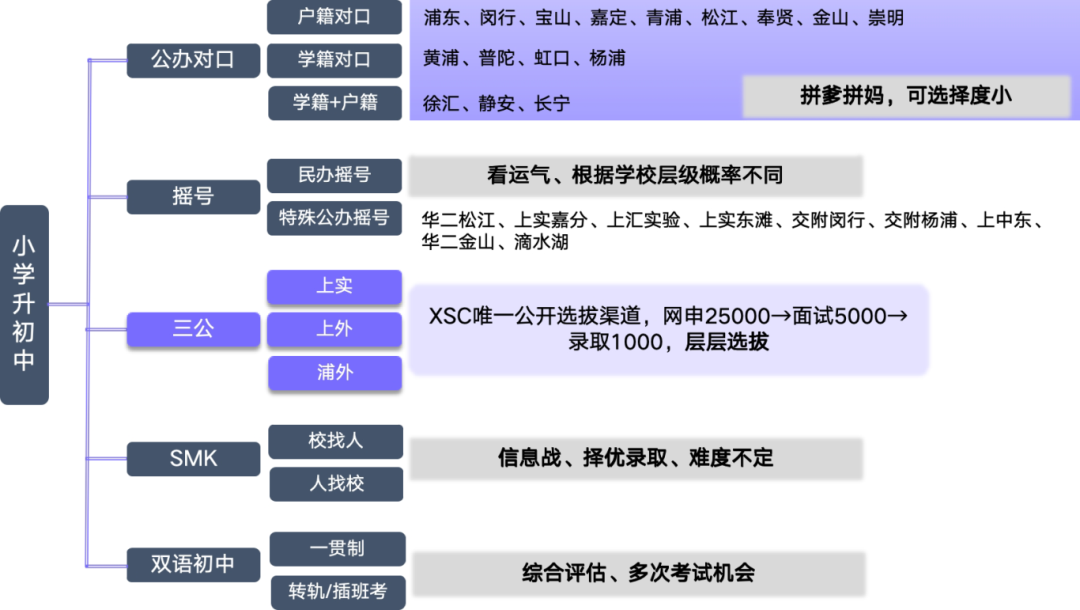 AMC8三公多少分稳妥？前1%能让上海三公学校抢着要？