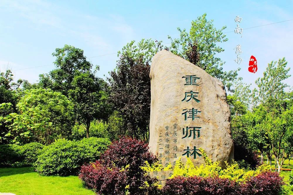 四川2+2国际本科 | 西南政法大学2+2国际本科项目2025年招生简章
