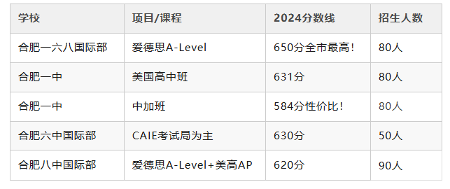 2025年合肥公办国际班分数线预测与报考指南