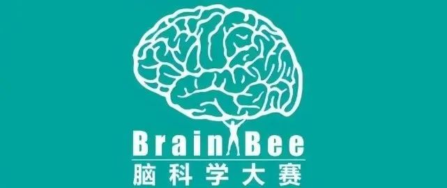 IBO/USABO/iGEM/Brain Bee/BBO——生物竞赛王者指南，助你斩获名校Offer~