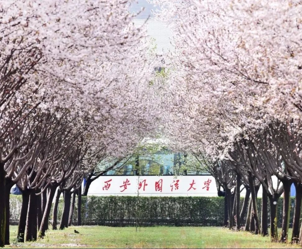 2025西安外国语大学SQA3+1国际本科项目